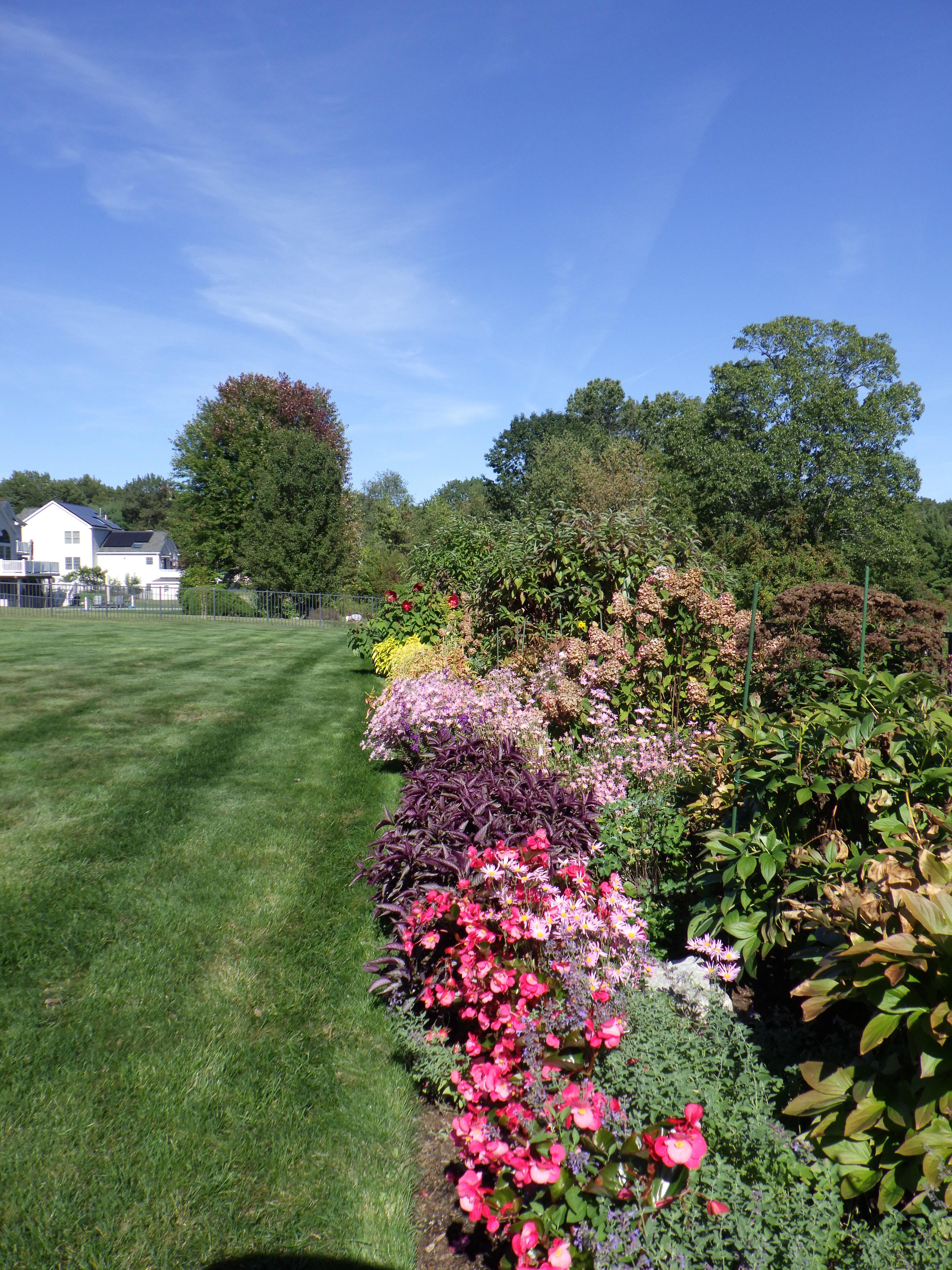 Avatar for Greenleafs Garden Design