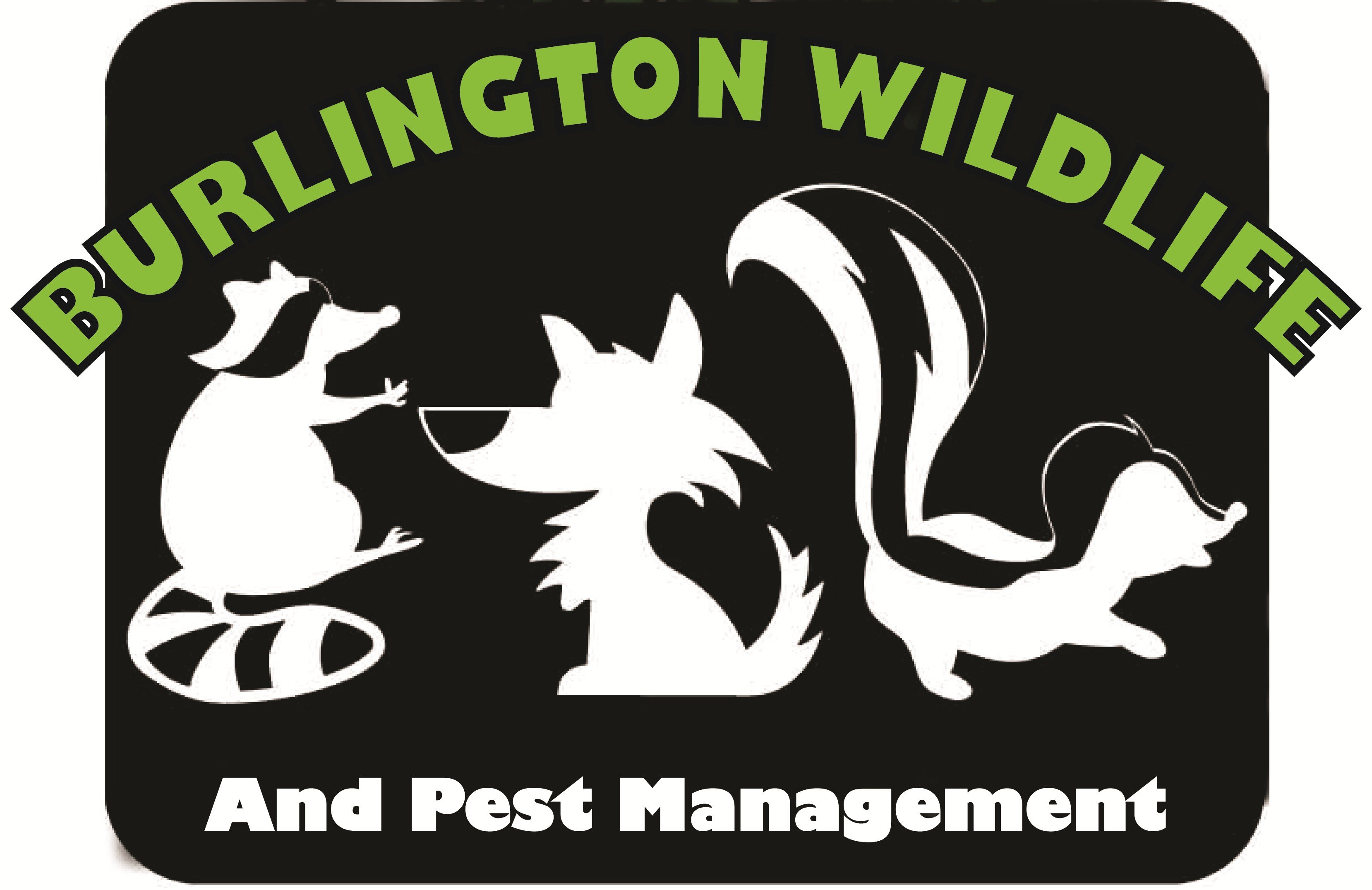 Avatar for Burlington Wildlife & Pest Management
