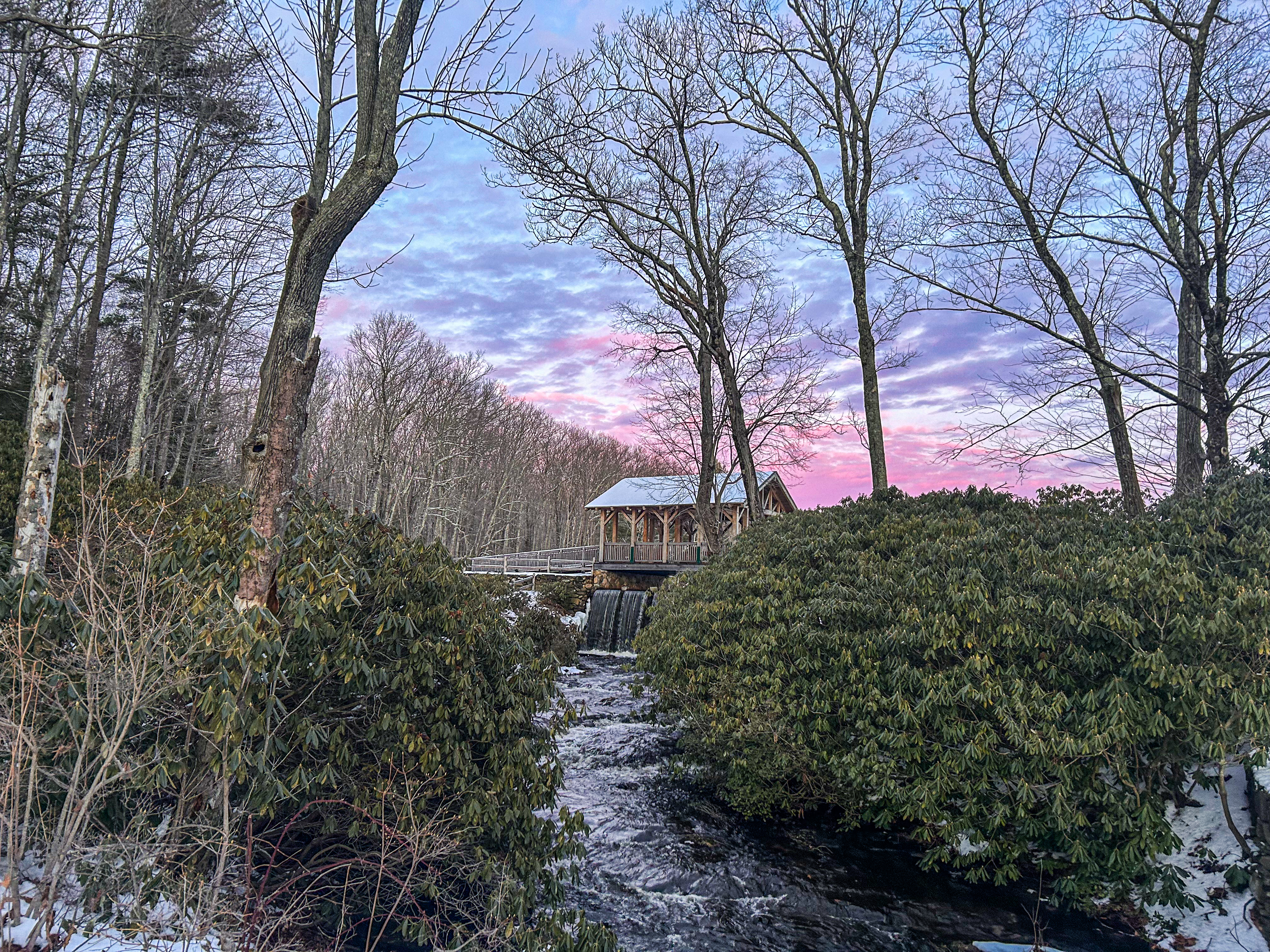 Avatar for AMC Photography