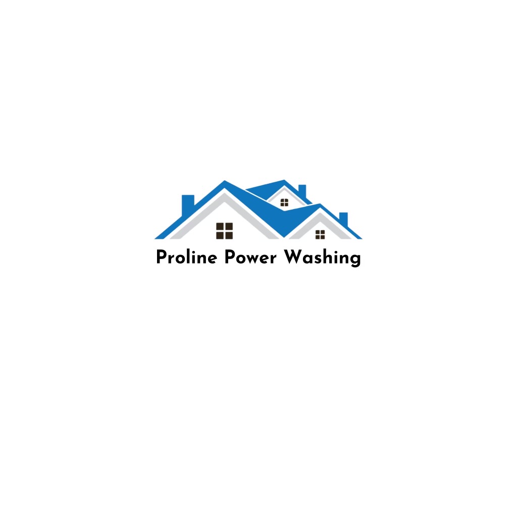Avatar for Proline power washing & soft wash