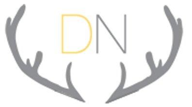 Dressed Nest Interiors logo
