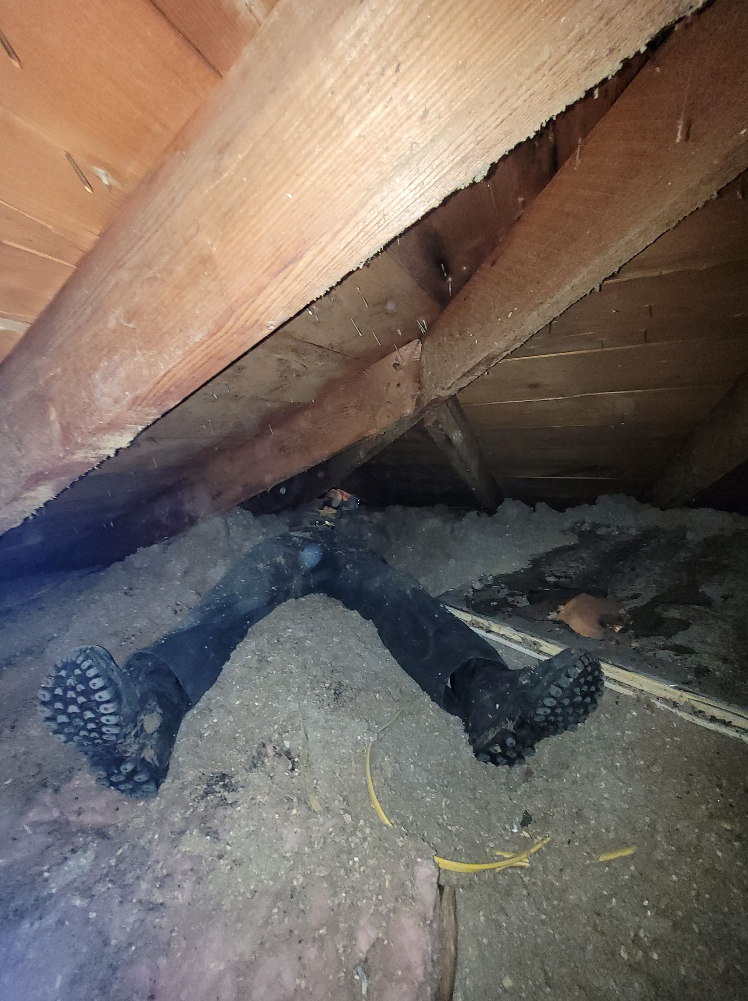 Avatar for Sun and Moon Services