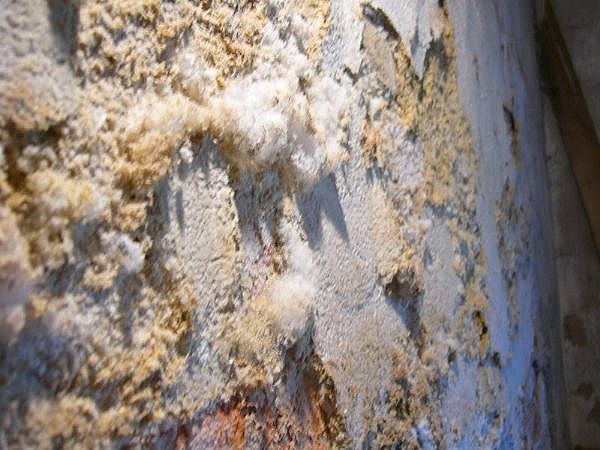 Mold Damage