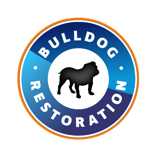 Avatar for Bulldog Cleaning & Restoration