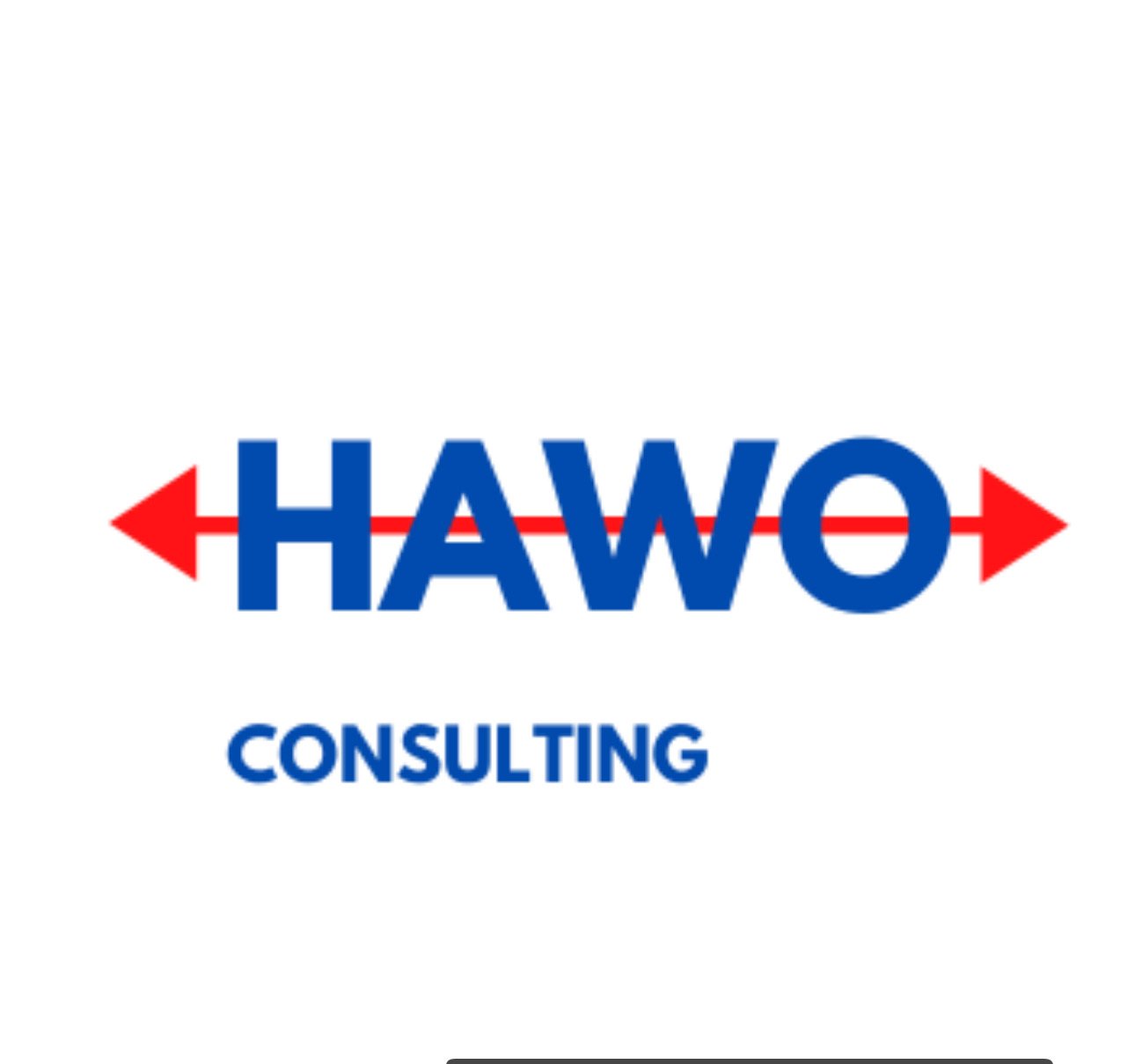 Avatar for HAWO Inc