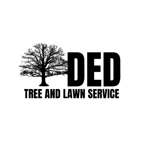 Avatar for DED Tree and Lawn Service