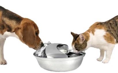 Avatar for Serv-All Water Conditioning
