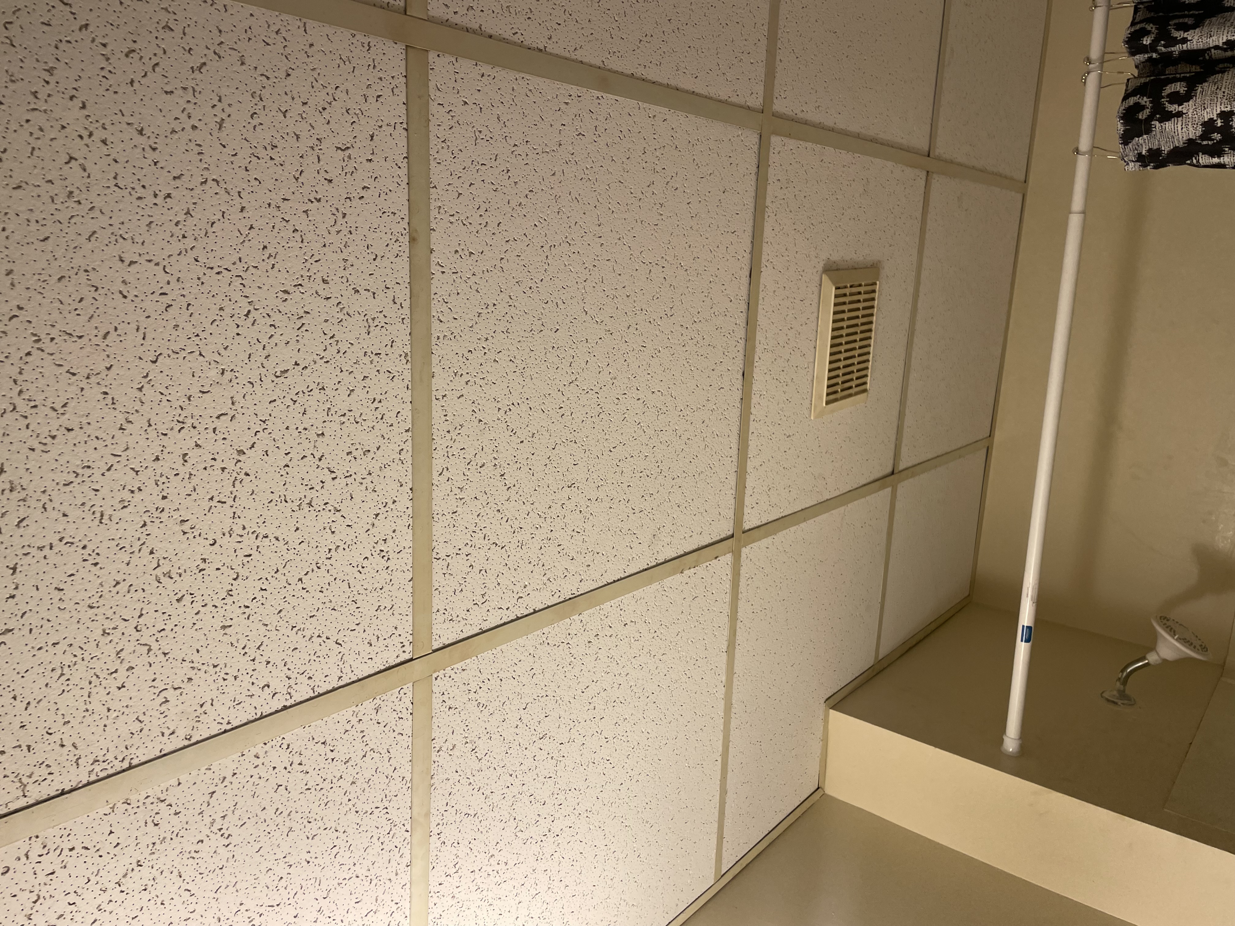 Avatar for DWV’S GIG’S