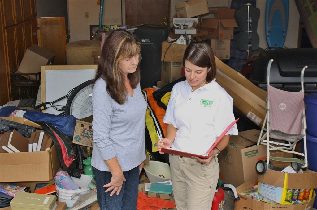 Sorters Consultation