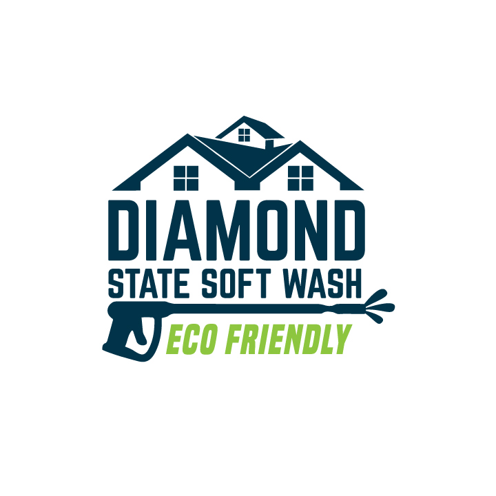 Avatar for Diamond State Soft Wash