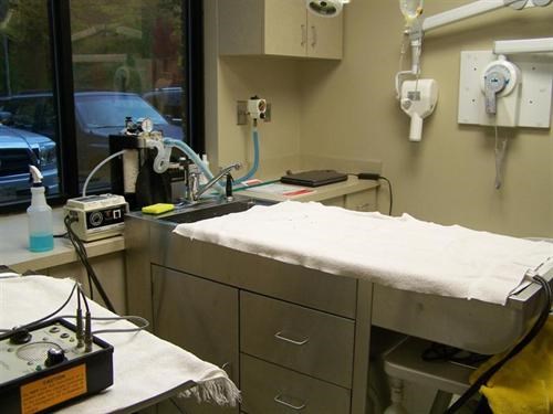 Dental Suite