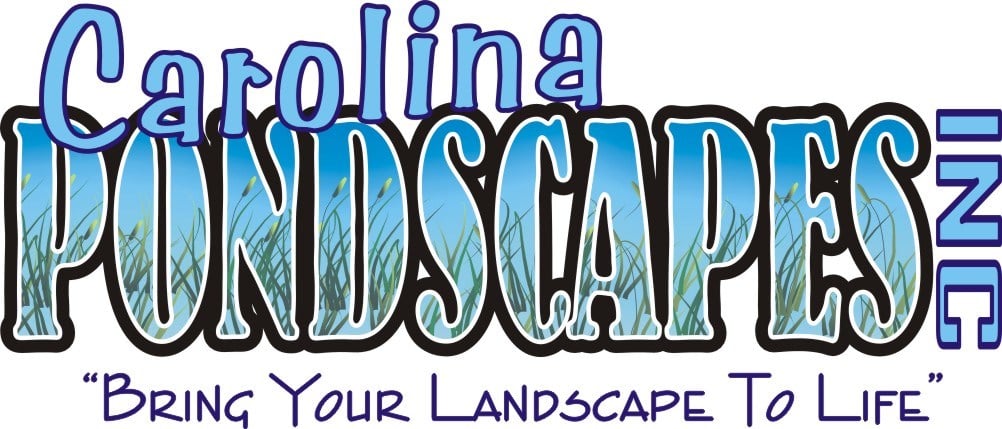 Avatar for CAROLINA PONDSCAPES