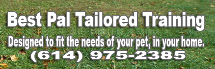 Avatar for Best Pal Tailored Dog Training