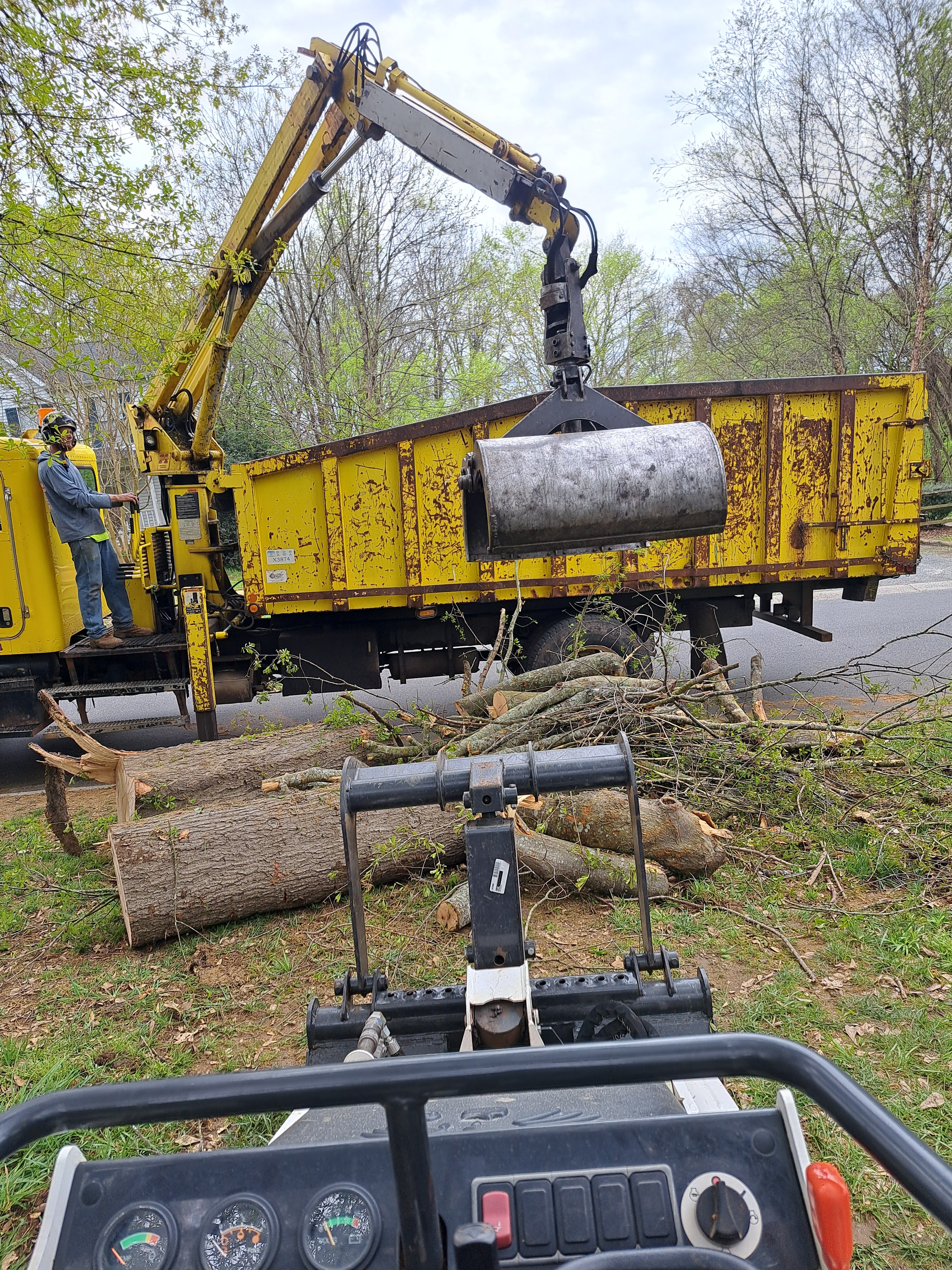 Avatar for Spaulding Tree Service
