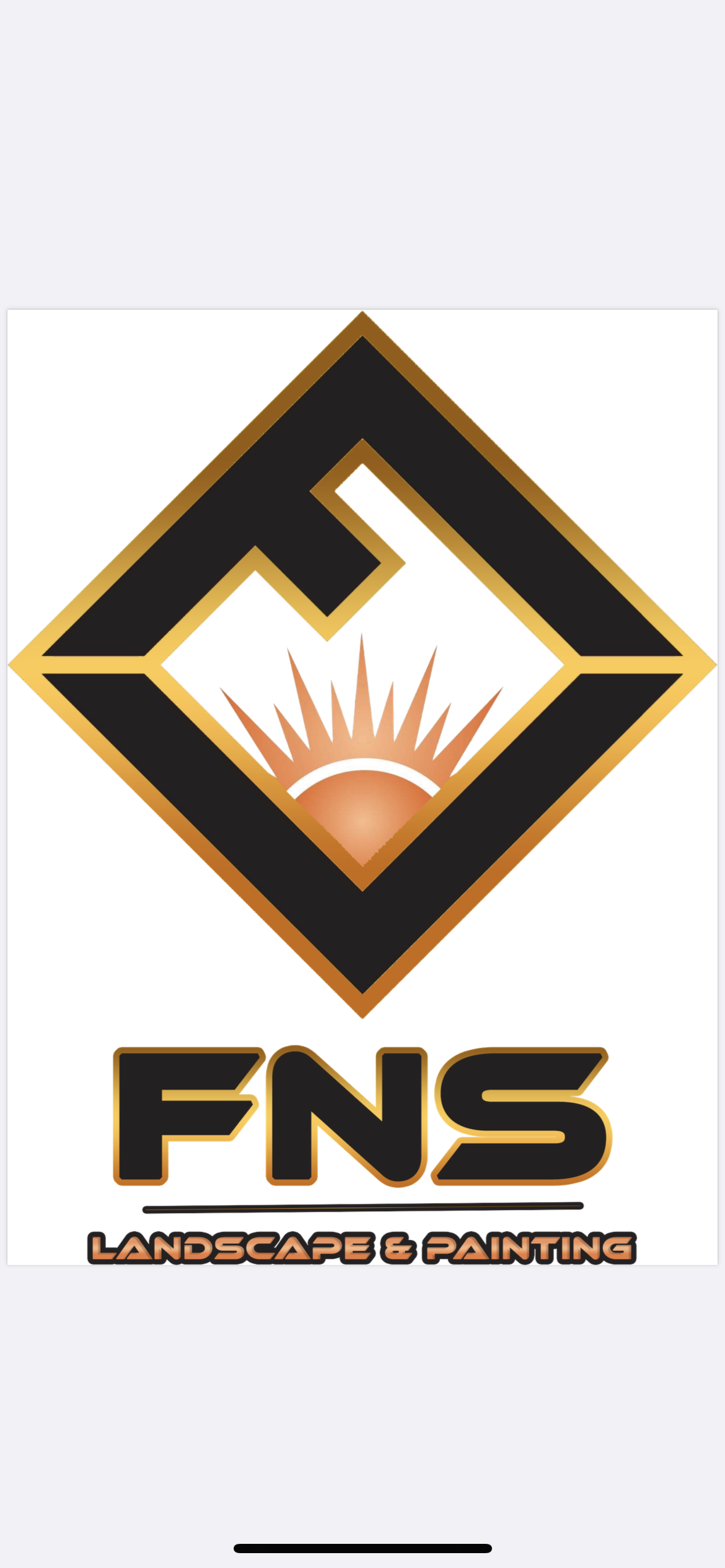 Avatar for FNS Landscape & Painting