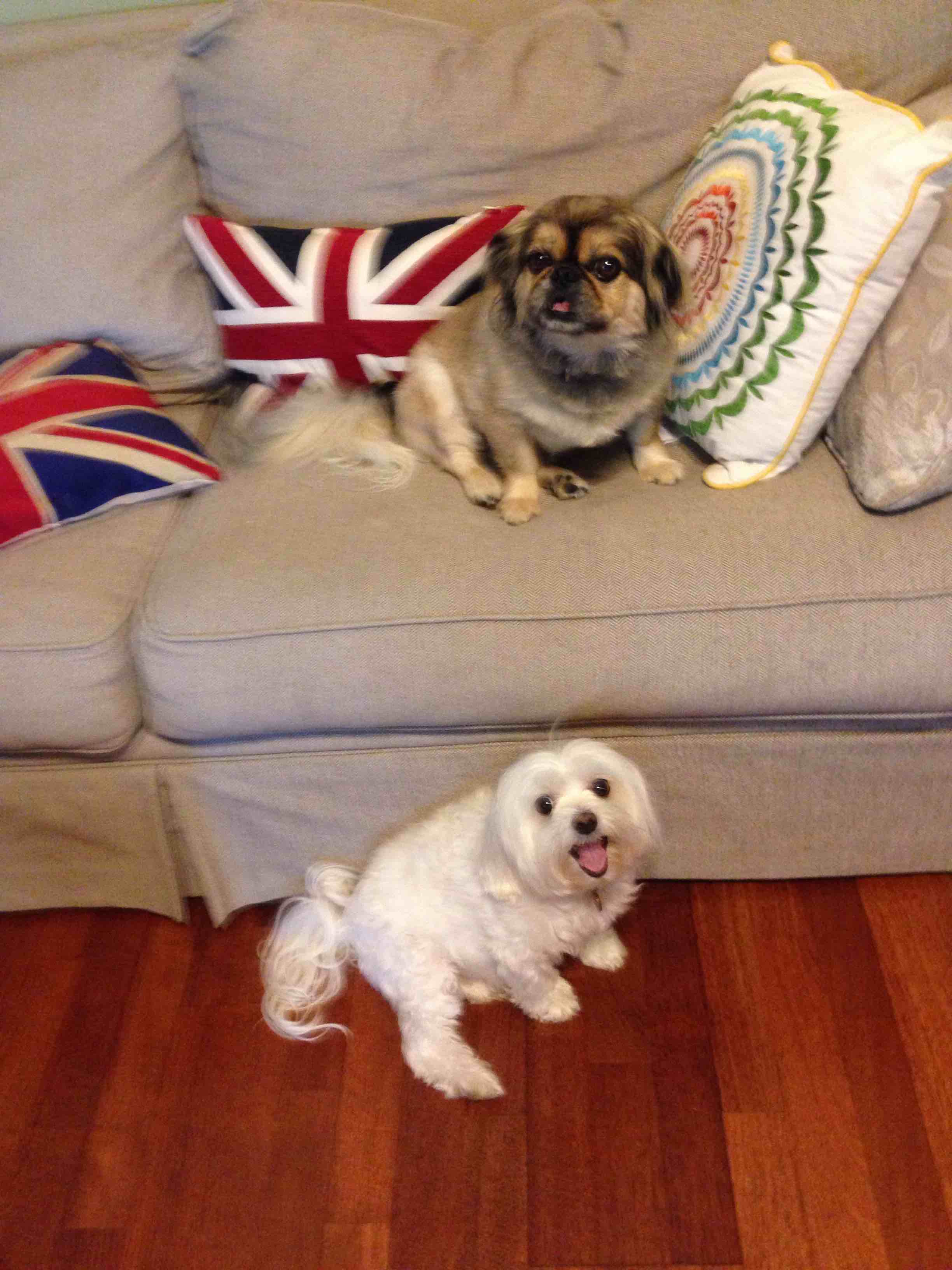 Bella and Sissy 