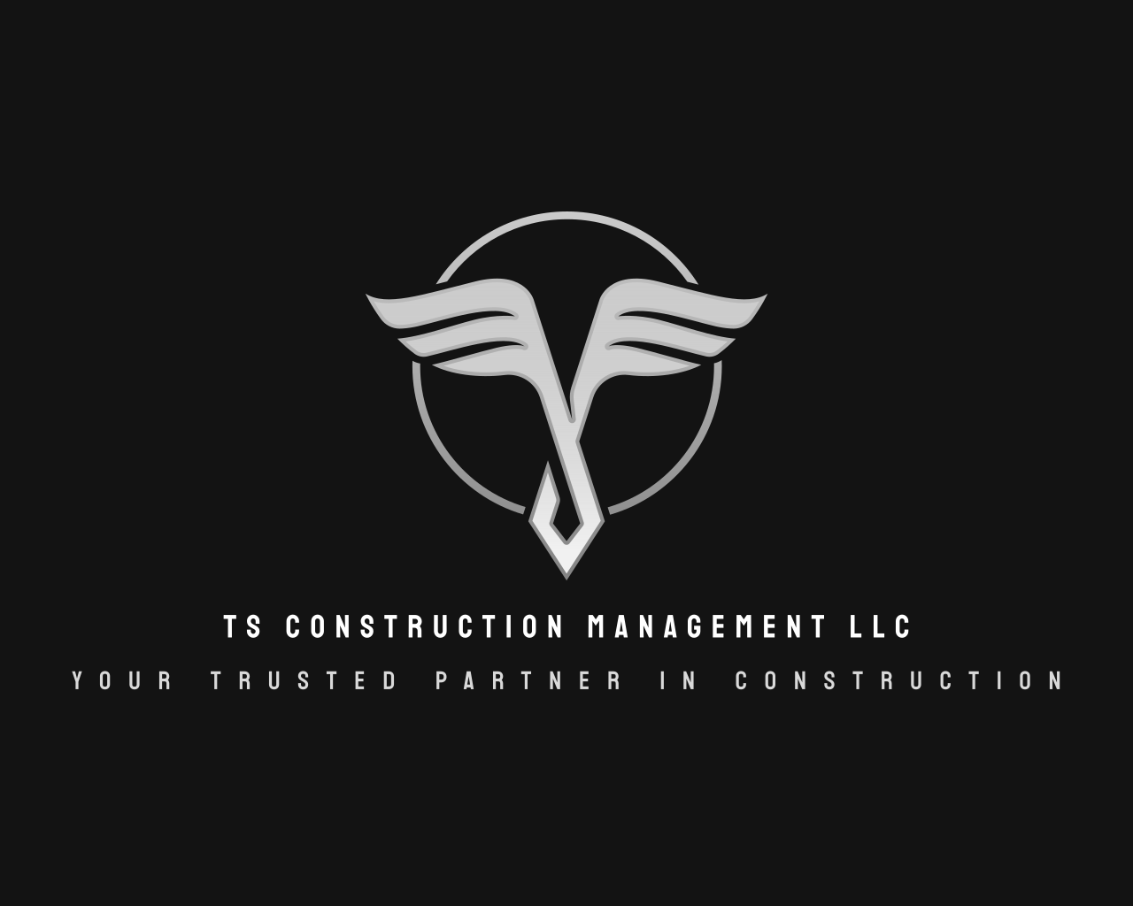 Avatar for TS Construction Management LLC
