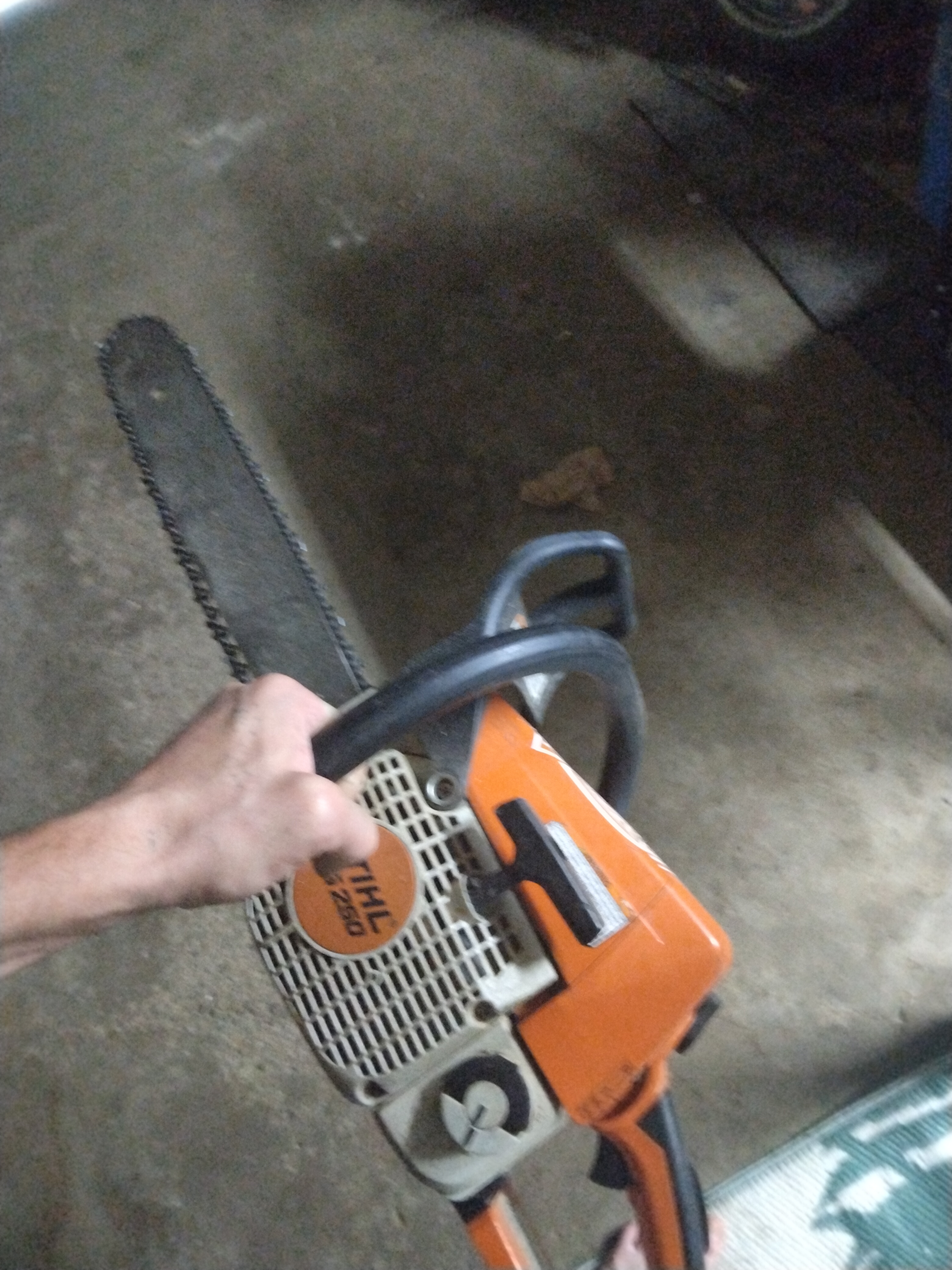 Avatar for Majestic tree services