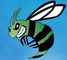 Avatar for Green Bee Lawn Care