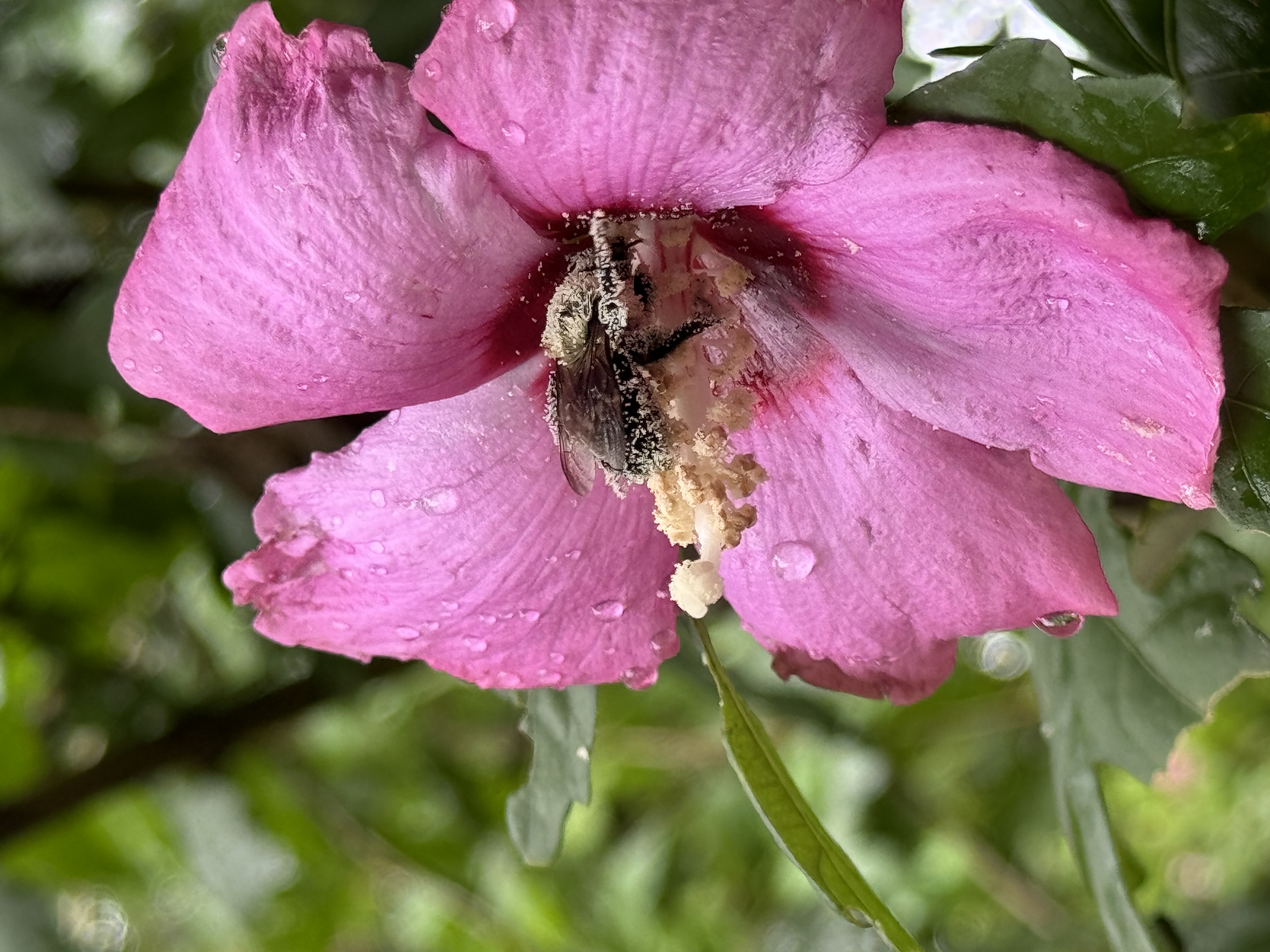 Avatar for Kaden baise