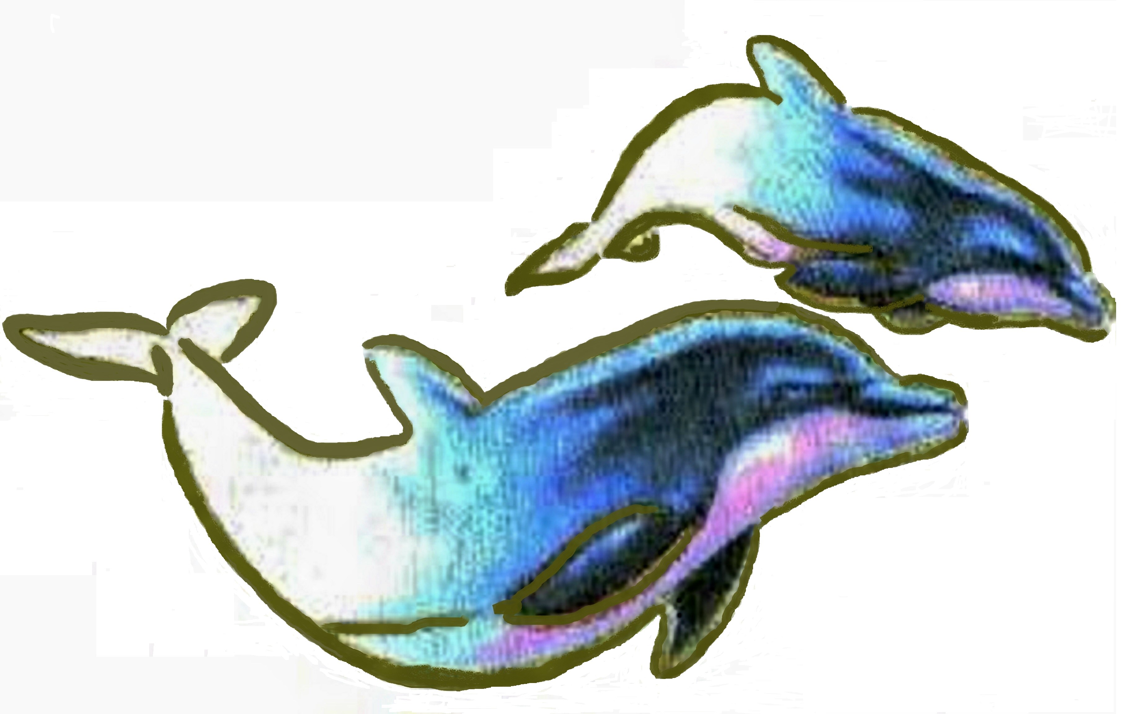 Little Dolfin Enterprises, LLC logo