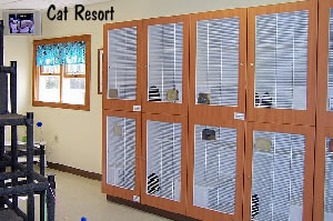Cat Resort