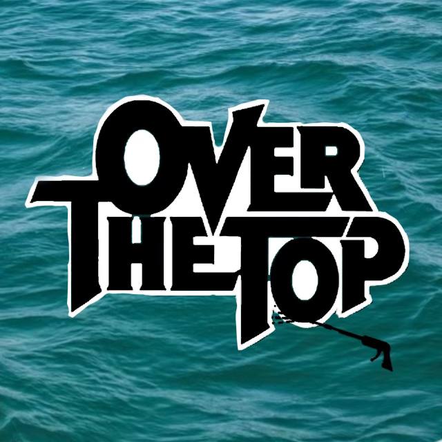 Avatar for Over The Top Cleaning Service