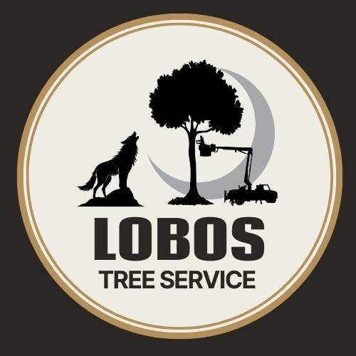 Avatar for Lobos Tree Service LLC