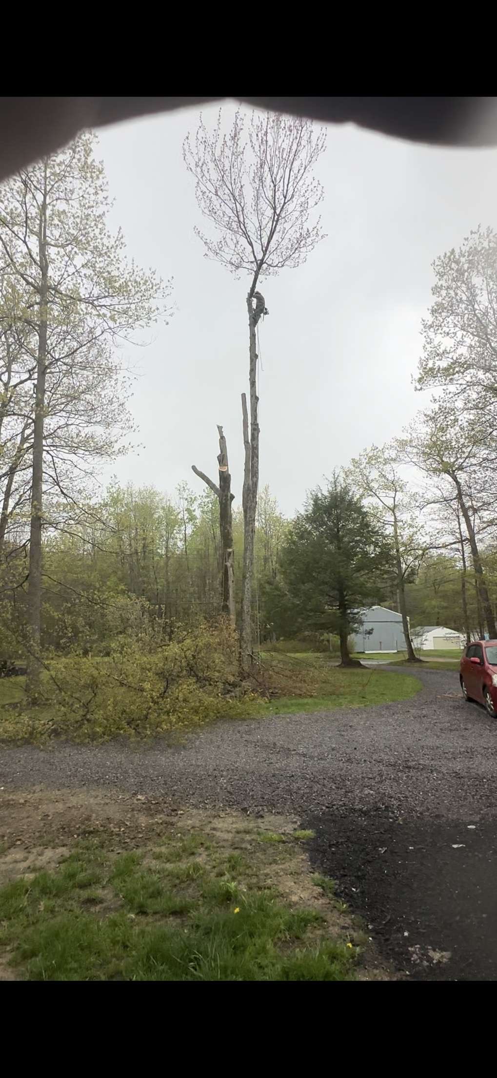 Avatar for Dustin Cowles