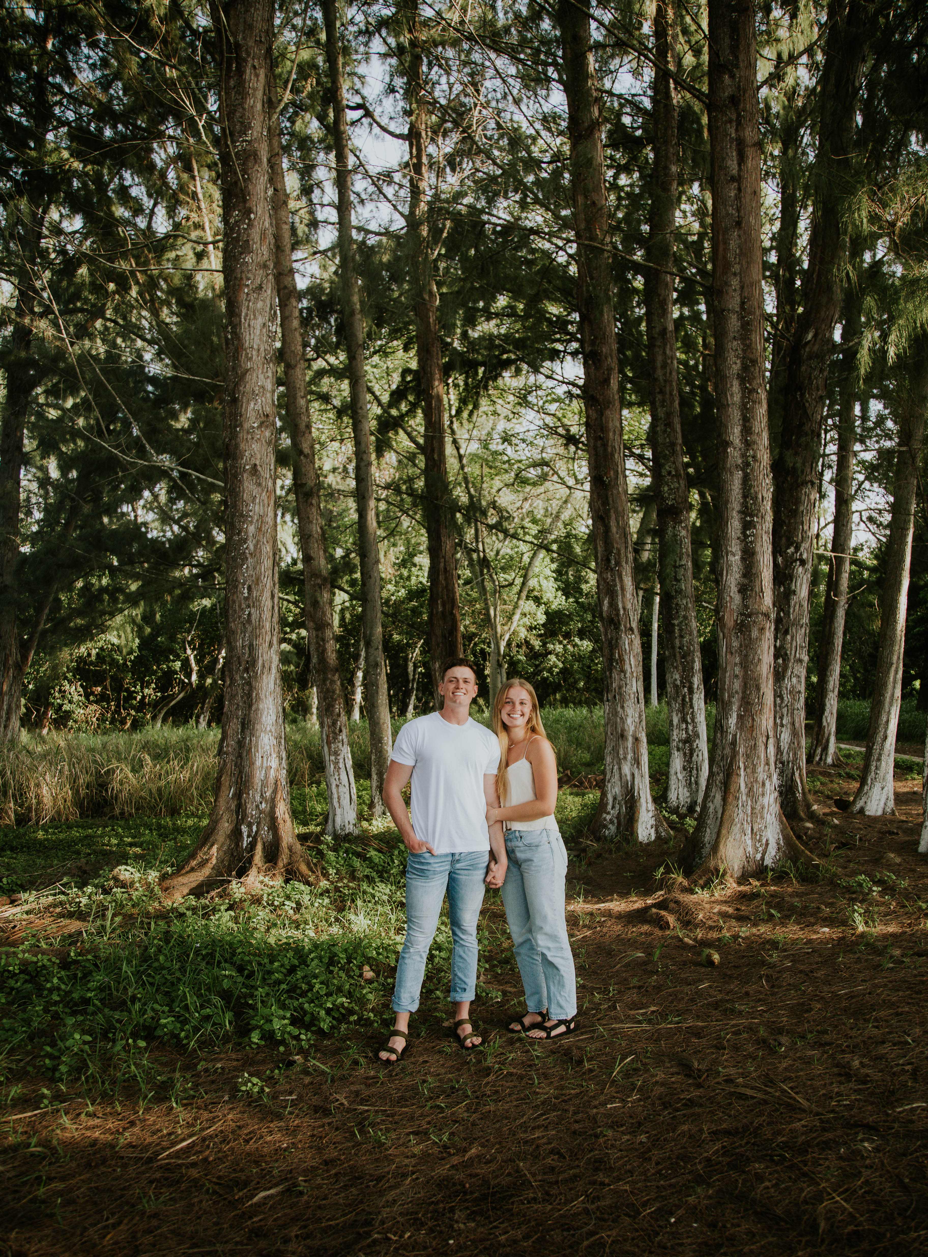 Avatar for AJ’S window cleaning