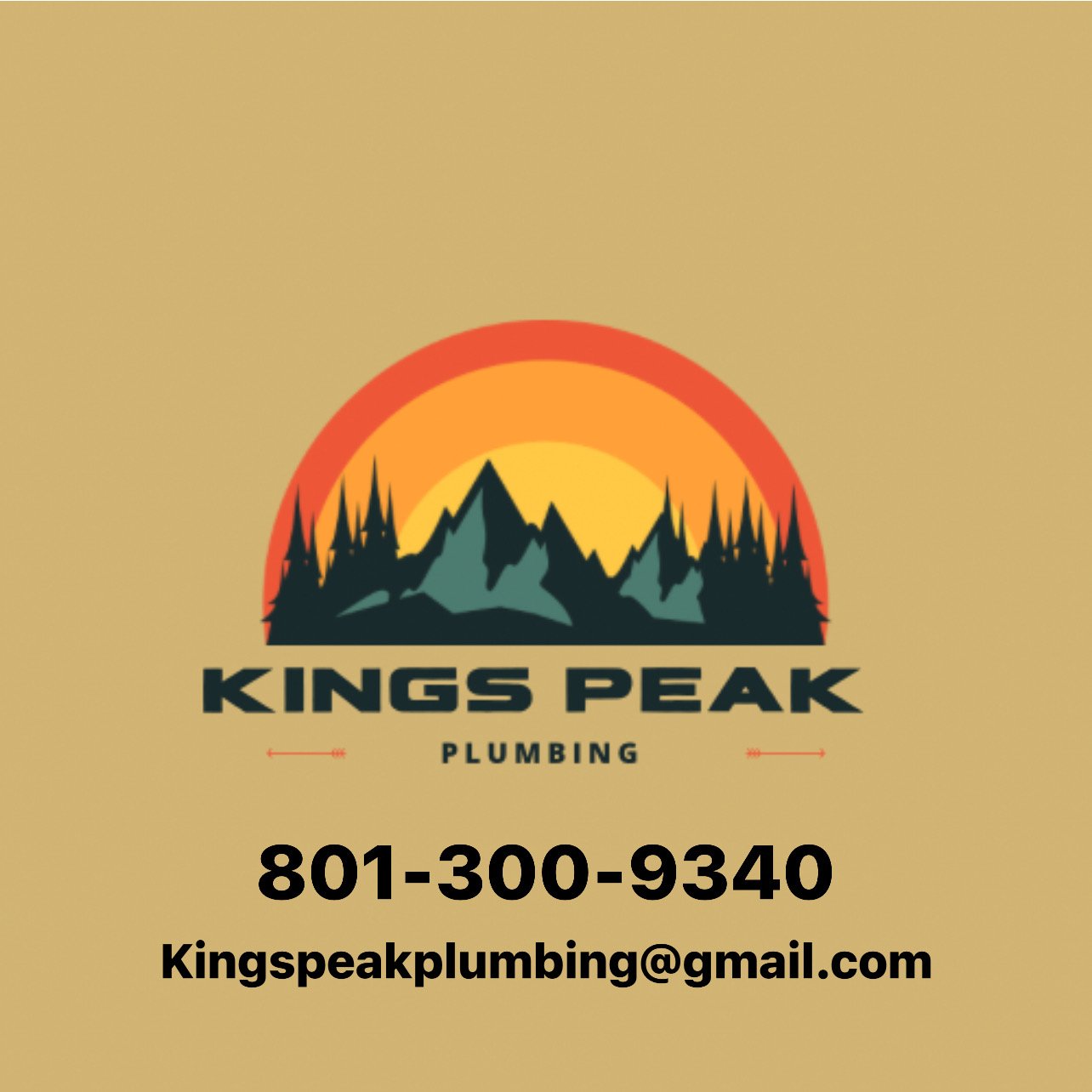 Avatar for Kings Peak Plumbing & Drains