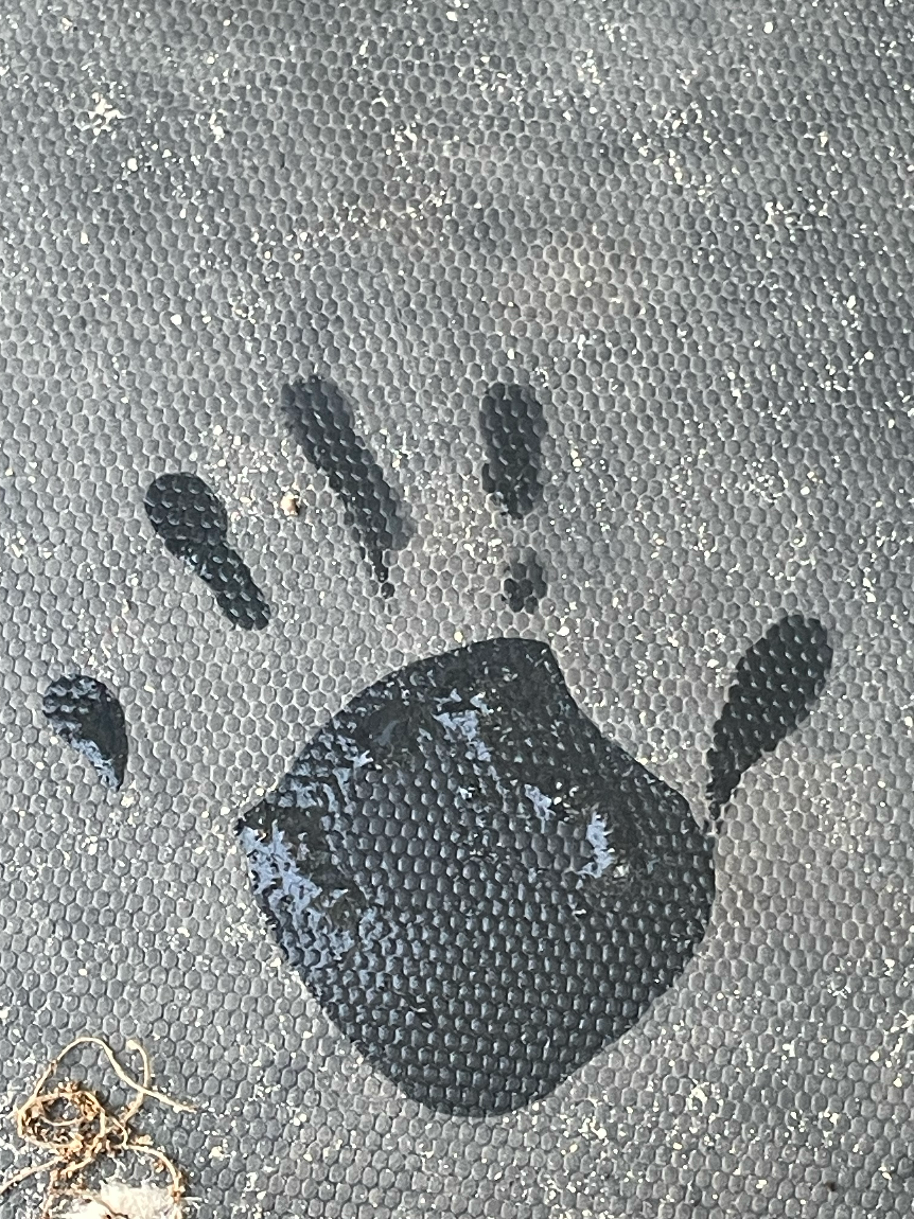 Avatar for Mr. Do it All