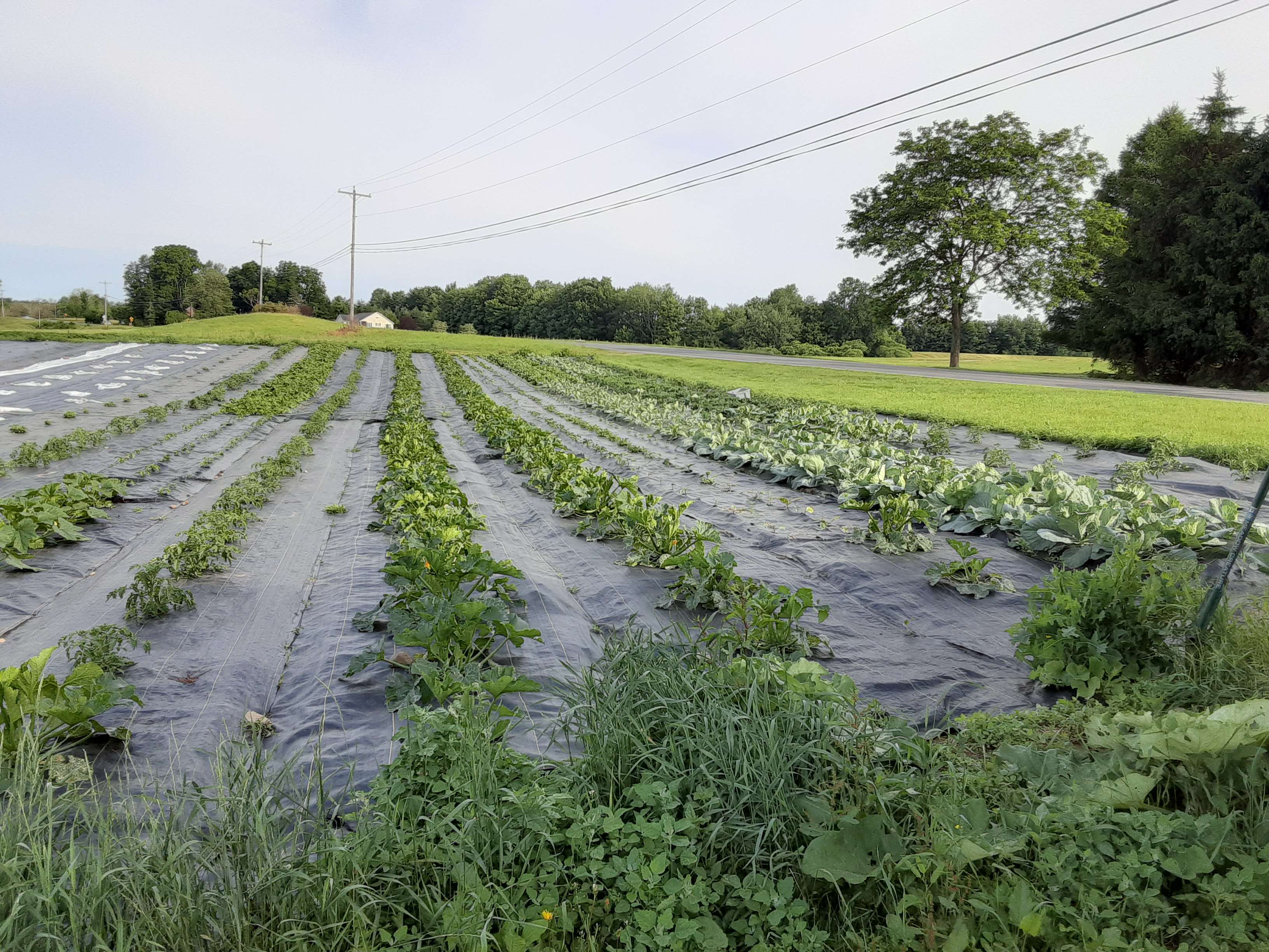 Avatar for JJ Handyman