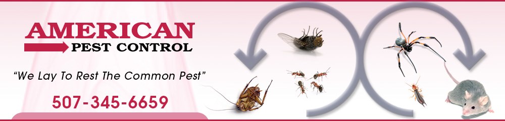 Avatar for american pest control