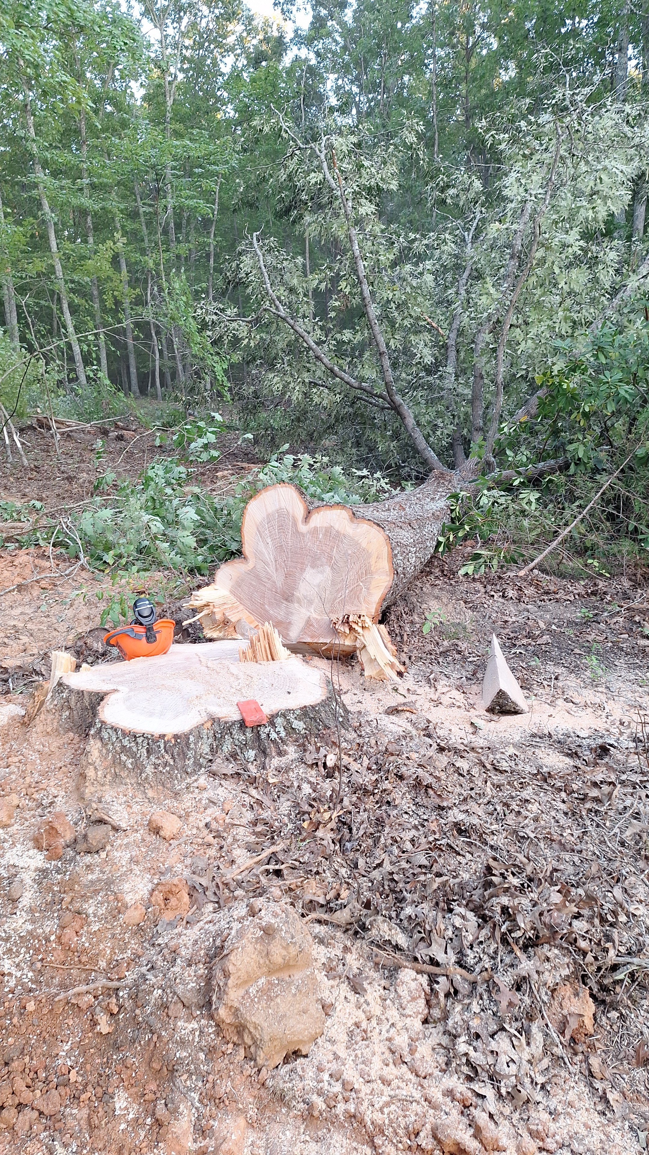 Avatar for Clearview tree service