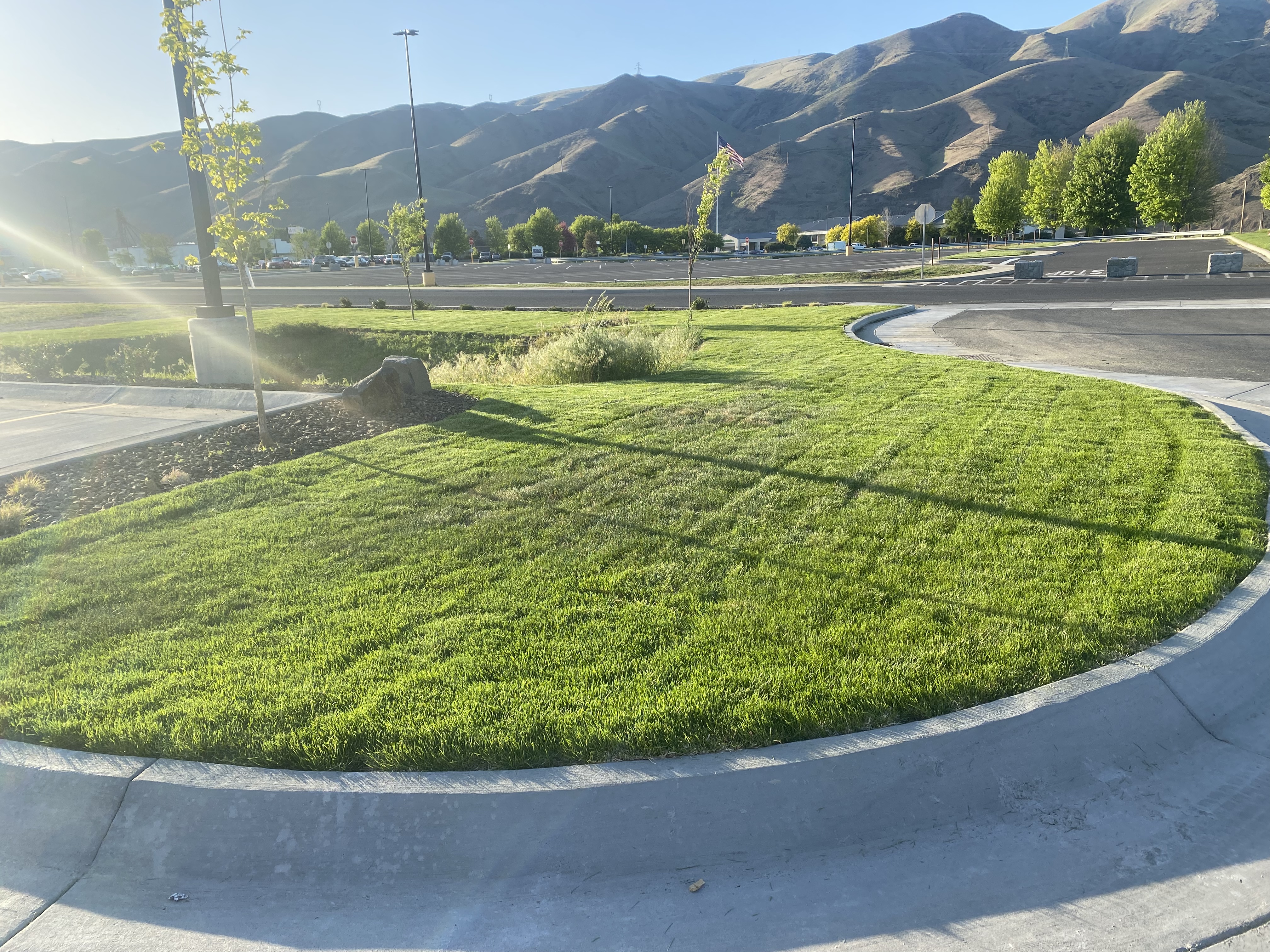 Avatar for Adavanced Lawn Car