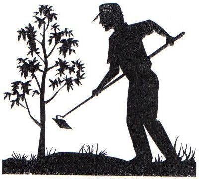 Avatar for TWIN CITY LAWN & LANDSCAPING