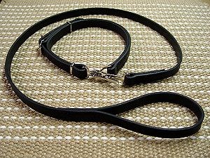 Collar and Leash