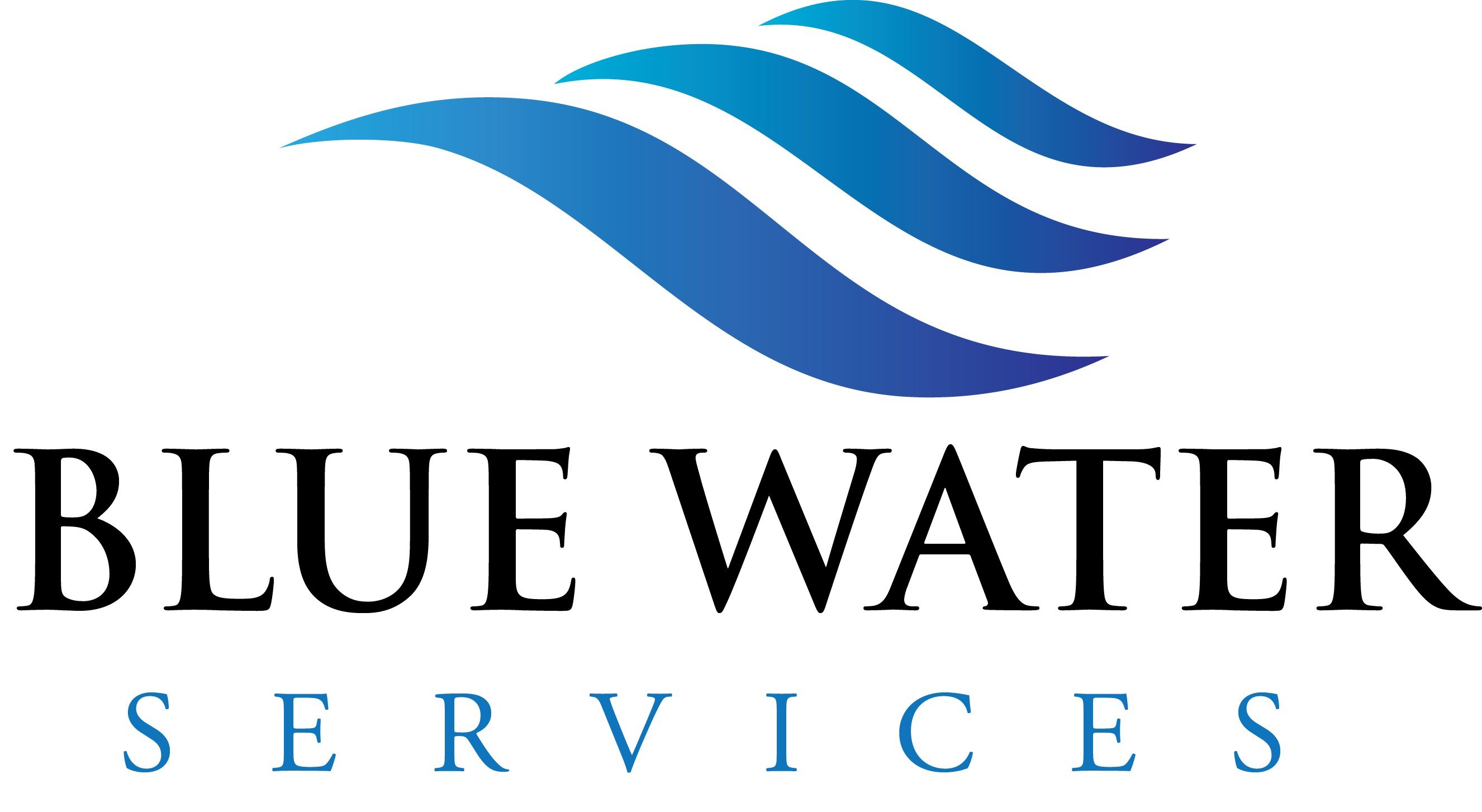 Avatar for Blue Waters Services