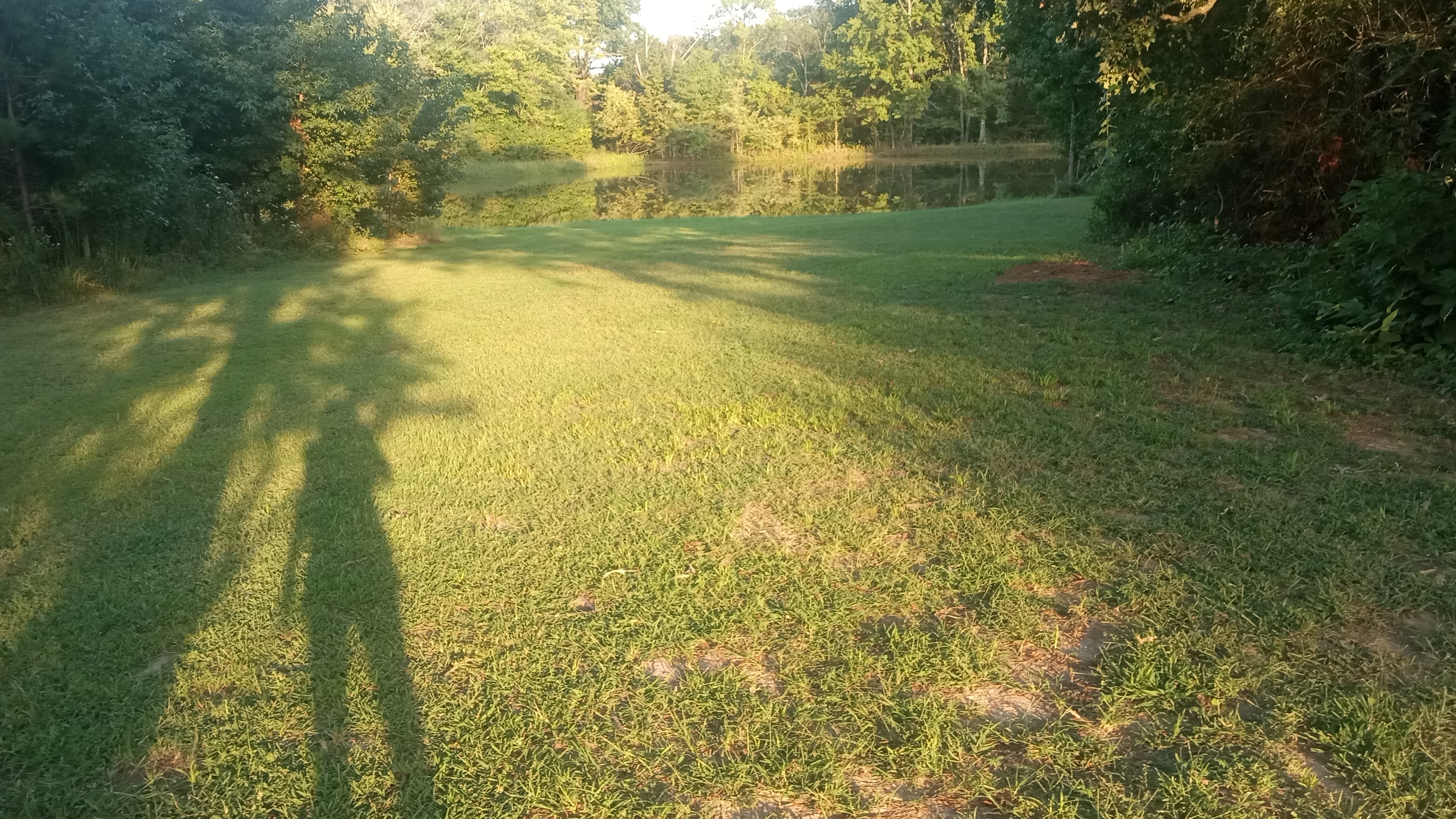 Avatar for Swillys haul off