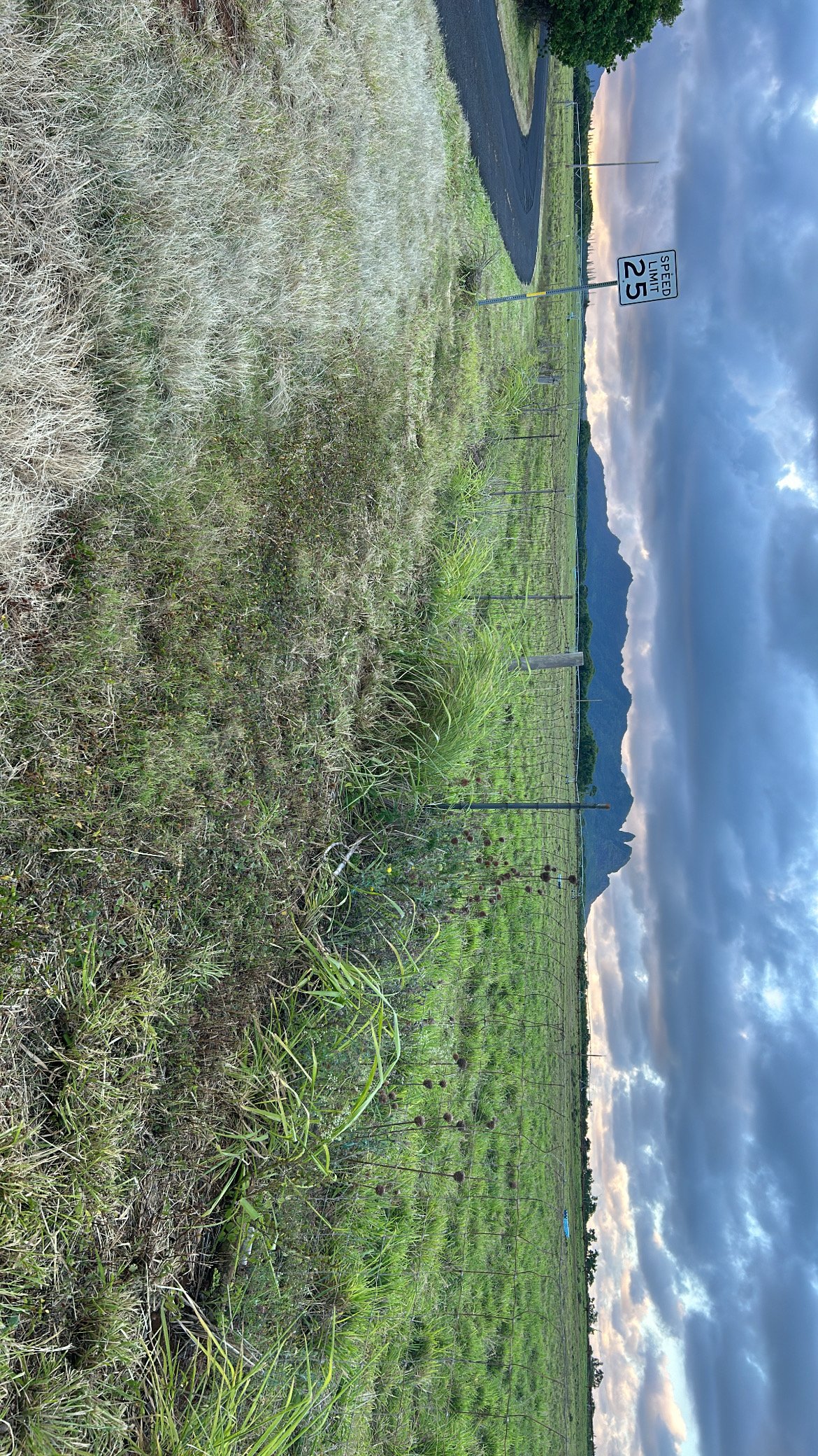 Avatar for Kuhaulua landscape