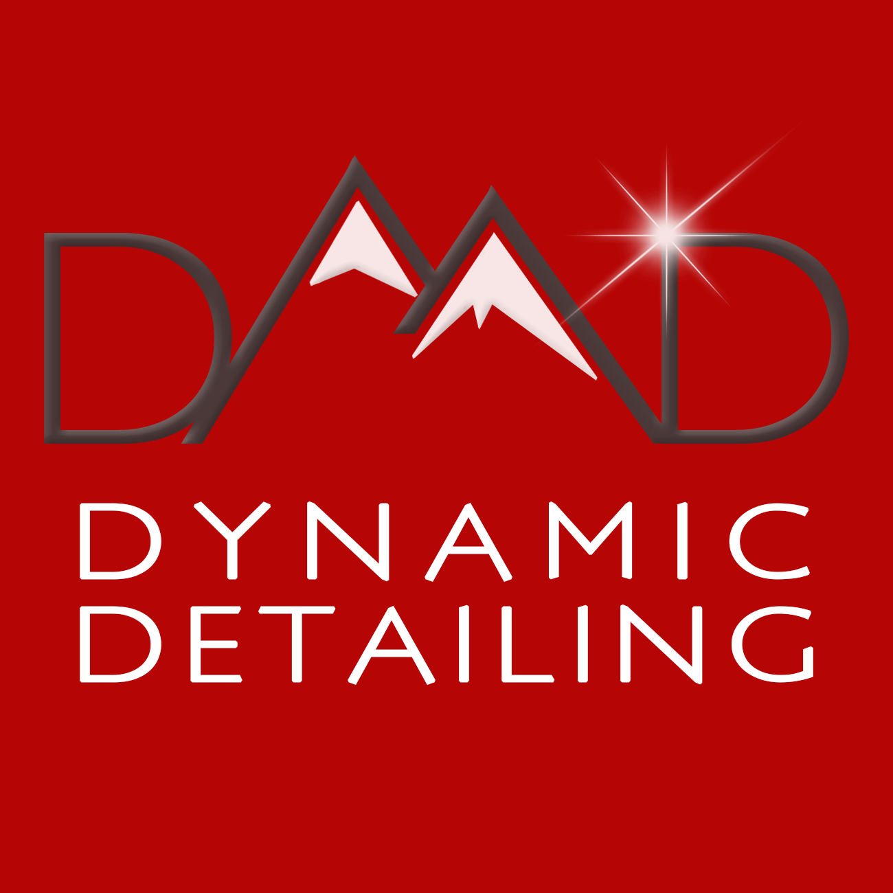 Avatar for Dynamic Detailing