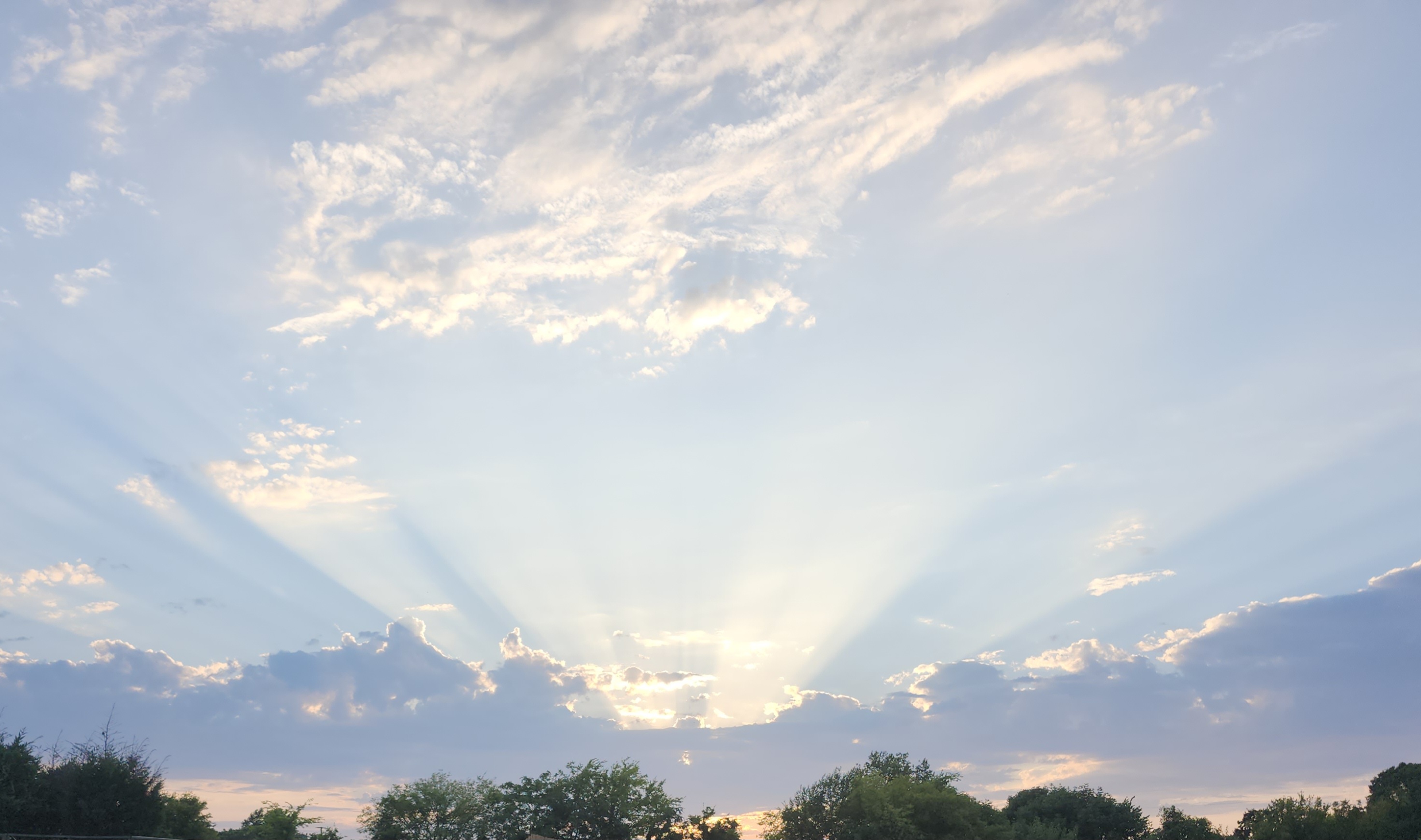 Shalom Home Services logo