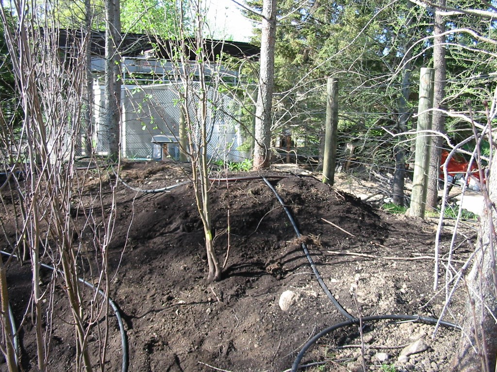 GREEN ACRES SPRINKLER CO INC Reviews Minneapolis, MN Angi