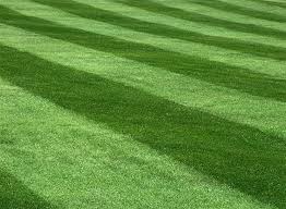 lawn