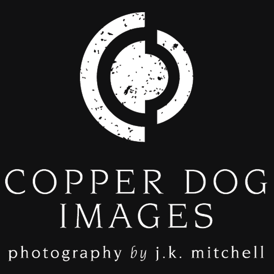 Logo for Copper Dog Images