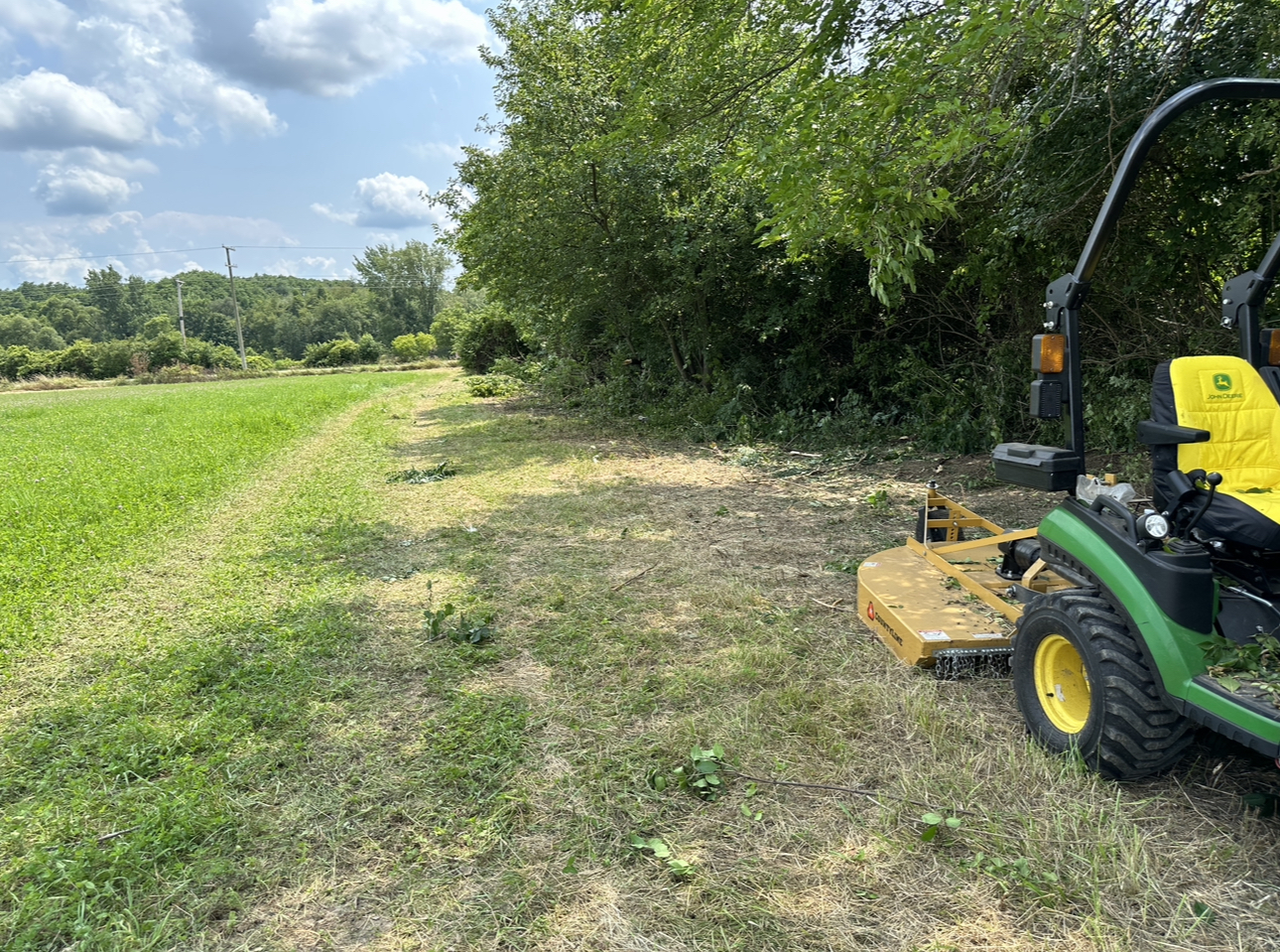 Avatar for Diego Ortega