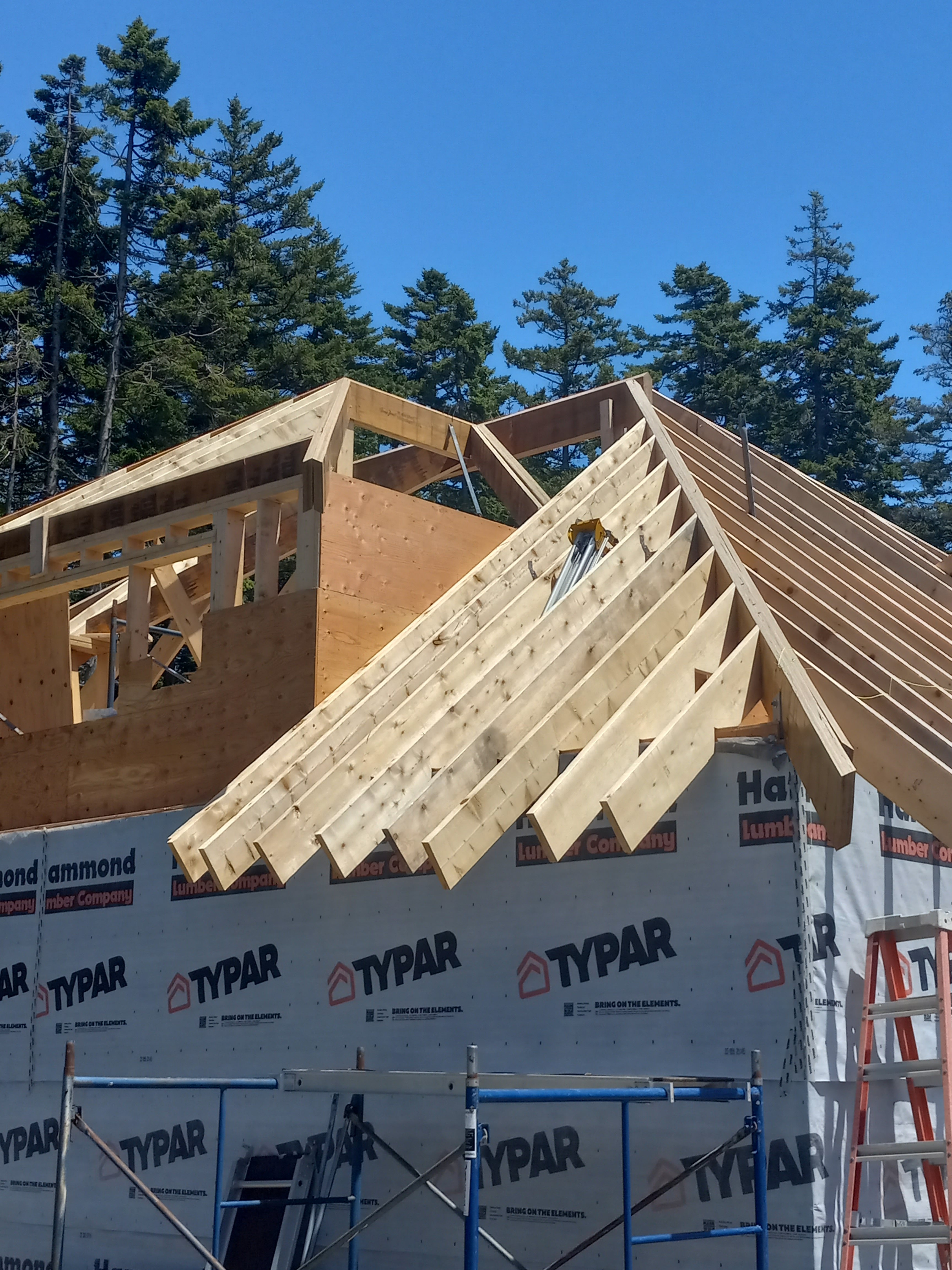 Avatar for Casella brothers Construction