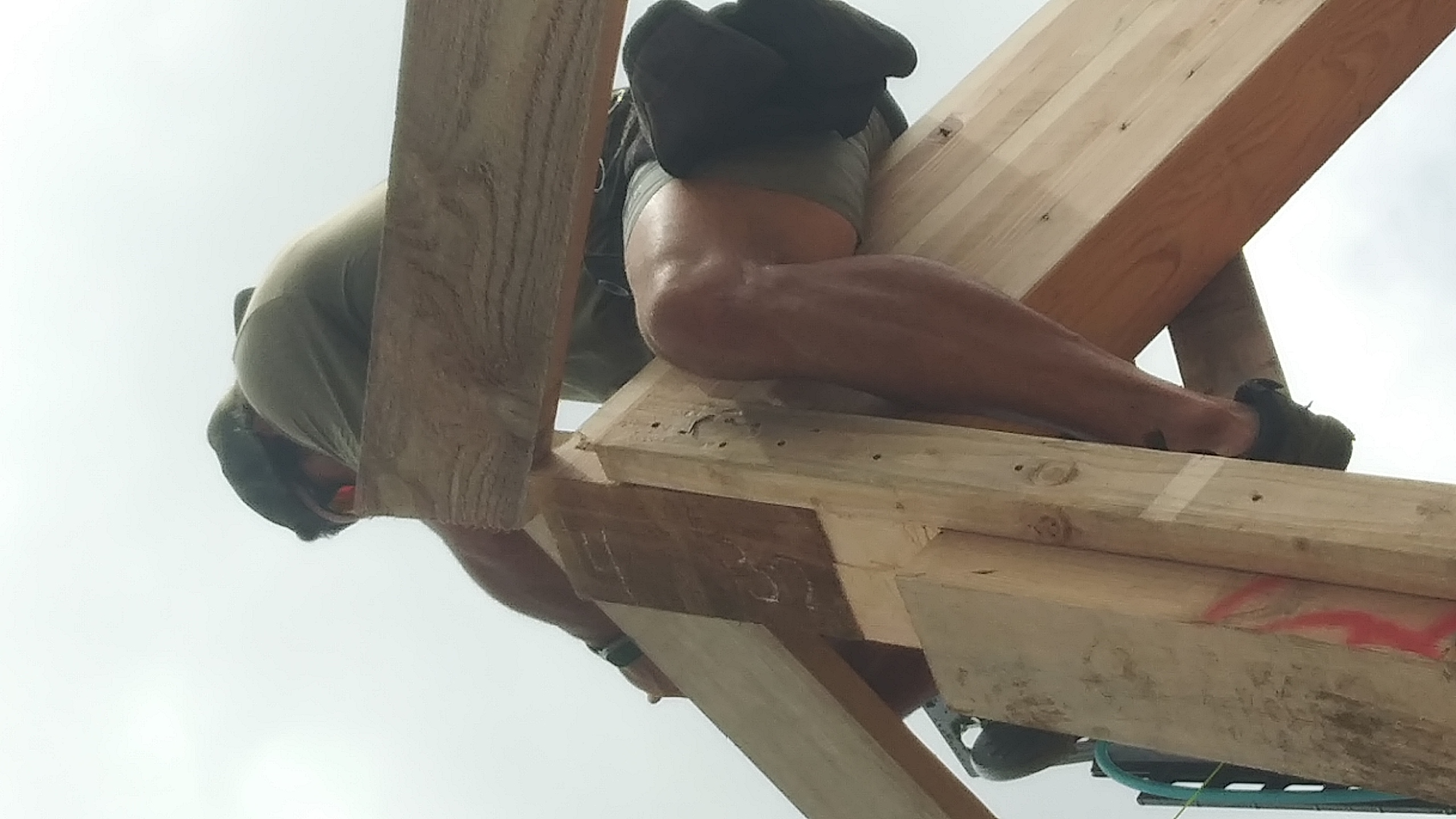 Avatar for Newhorizonconst