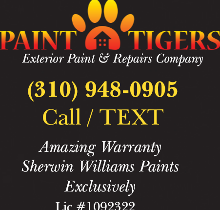 Logo for PAINT TIGERS